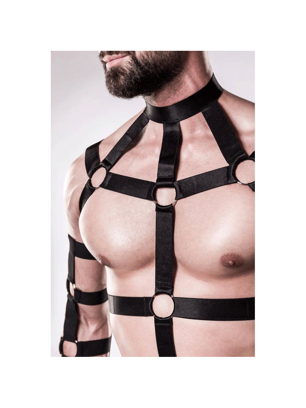 Harnais 4 pièces 20050 Dominant noir