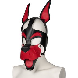 Playful Pup Cagoule