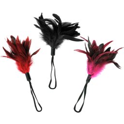 Plumeau Pleasure Feather