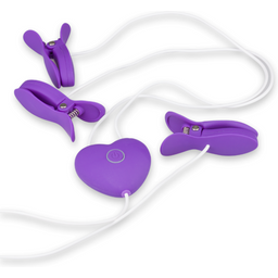Pinces à tétons et clitoris vibrantes Kim