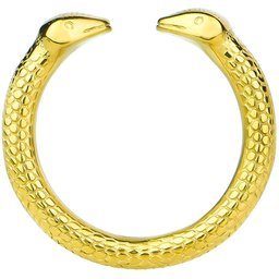 Steel Anneau de Gland pour Pénis