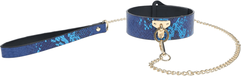 Collier et Laisse - Collection Florence - Bleu
