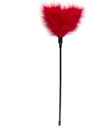 Chatouilleur rouge - Long