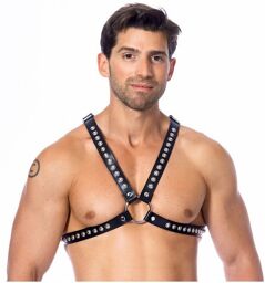 Harnais buste avec rivets