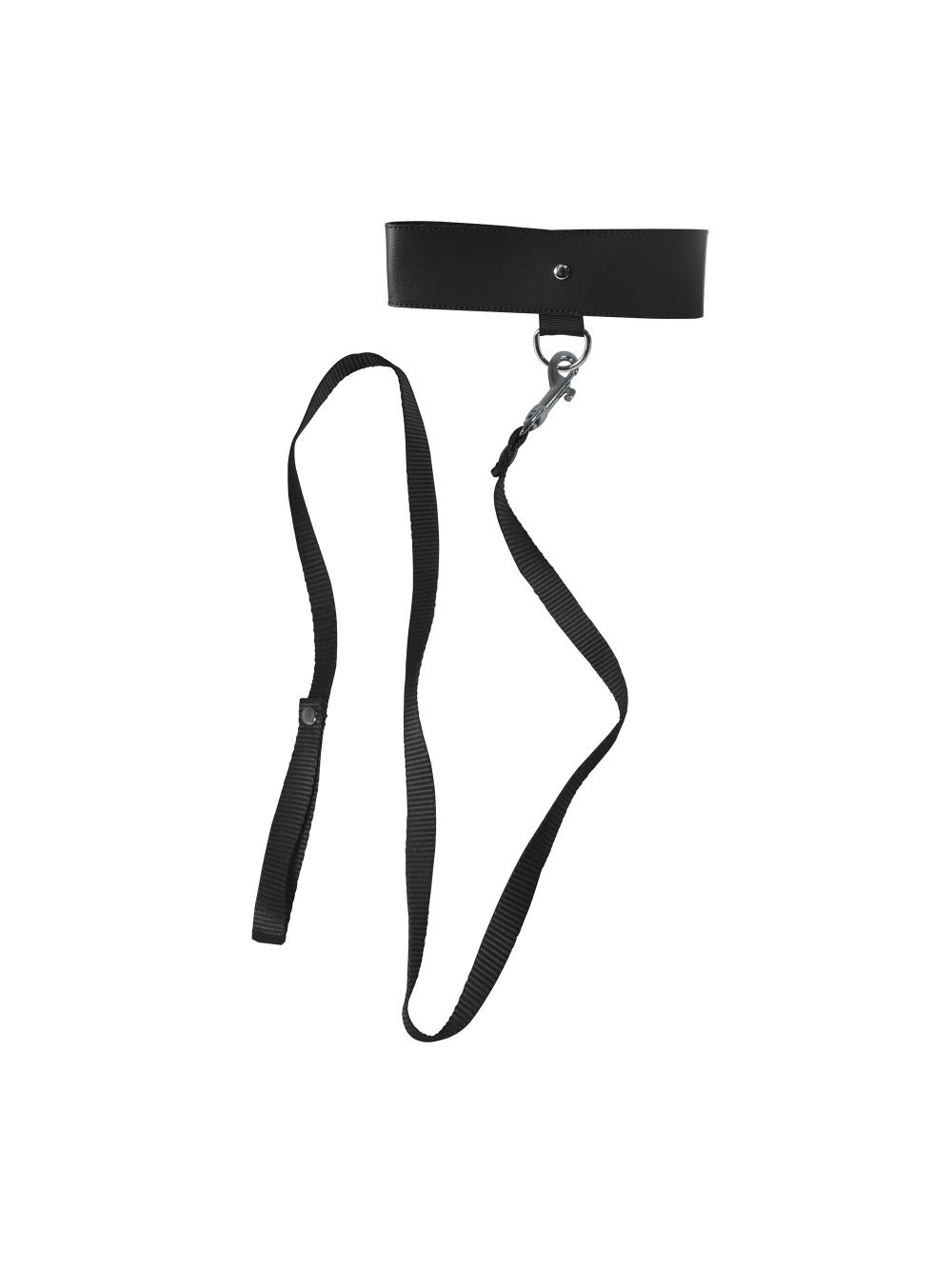 Collier & Laisse S&M