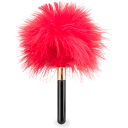 Petit plumeau pour jeux coquins Caress