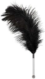 Plumeau Plume Noire Noir