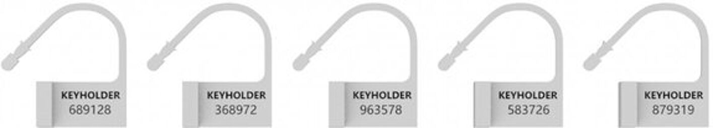 Spare Lock - White