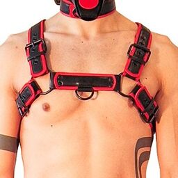 Harnais Puppy Harness Noir-Rouge Rouge