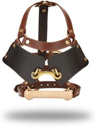 Blinders en Cuir avec Bâillon - Noir, Marron & Or