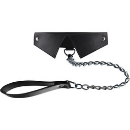 Collier et Laisse Exclusive