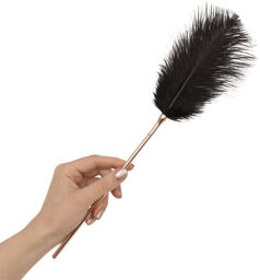 Accessoire sensuel plume et fouet pour jeux intimes