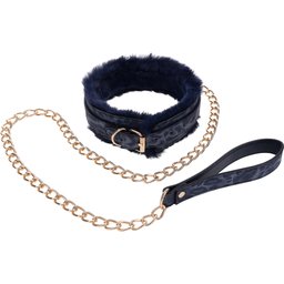 Collier et Laisse Cougar