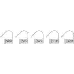 Boîte de 5 Cadenas de Rechange
