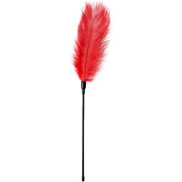 Fouet à plumes rouge