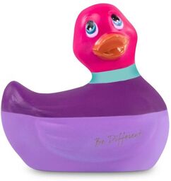 Canard Vibrant Colors Rose