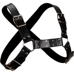 Harnais de torse BDSM pour homme