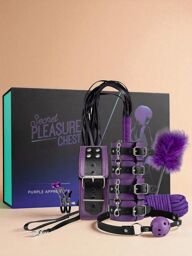 Coffret BDSM Purple Apprentice