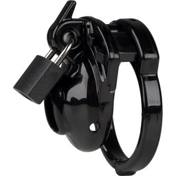 Clitty Cage à Pénis