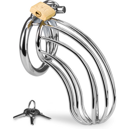 Cage de chasteté pénis Sentence