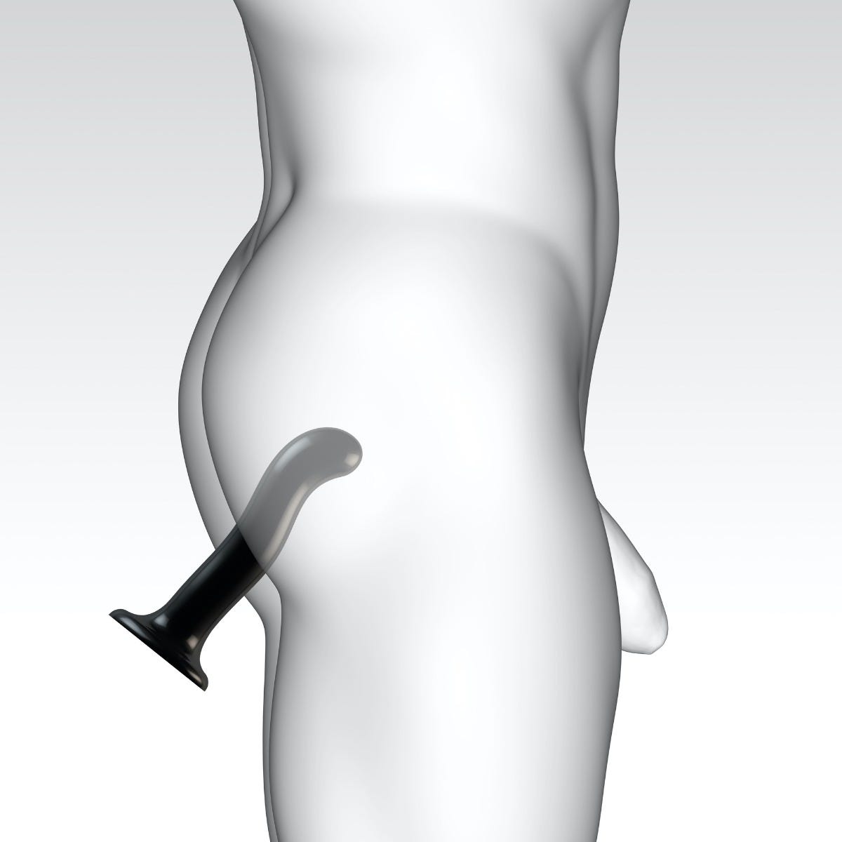 Dildo Point P&G
