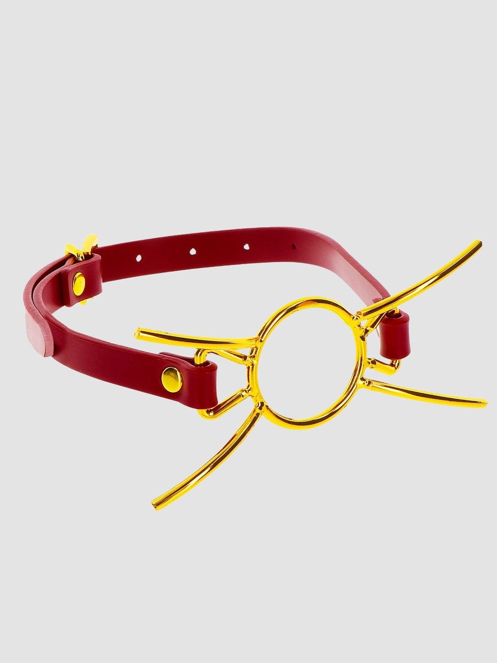 Bâillon anneau Spider Gag Bondage in Luxury