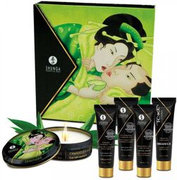 Kit Secrets de Geisha Organica Thé Vert Exotique Vert