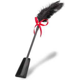 Cravache BDSM et plumeau 2-en-1