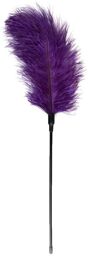 Chatouilleur de plumes violettes