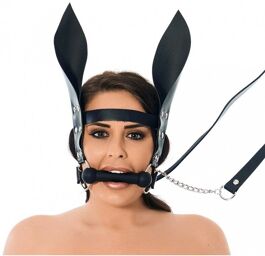 Mors à cheval avec guide et oreilles