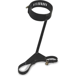 Contrainte BDSM dorsale