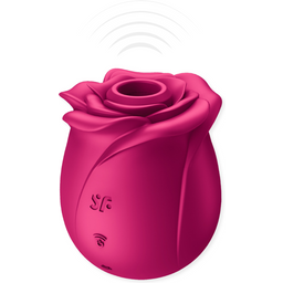 Pro 2 Classic Blossom Rose