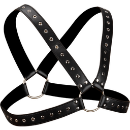 Harnais de poitrine BDSM à rivets pour homme