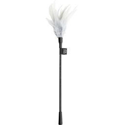 Teaser Plume Châtouilleuse