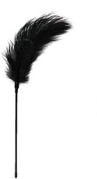 Chatouilleur de plumes noires