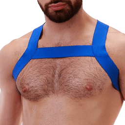 Harnais en élastique Matt Bleu