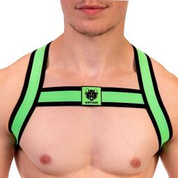 Harnais élastique Colin Vert